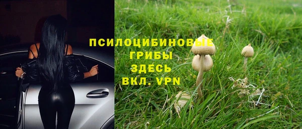 соль курить ск Кинешма