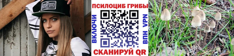 Галлюциногенные грибы мухоморы  Купить где  Данков 