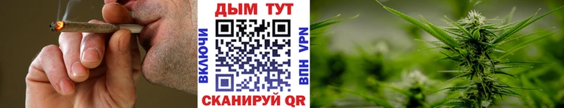 Бошки марихуана конопля  Купить  Данков 